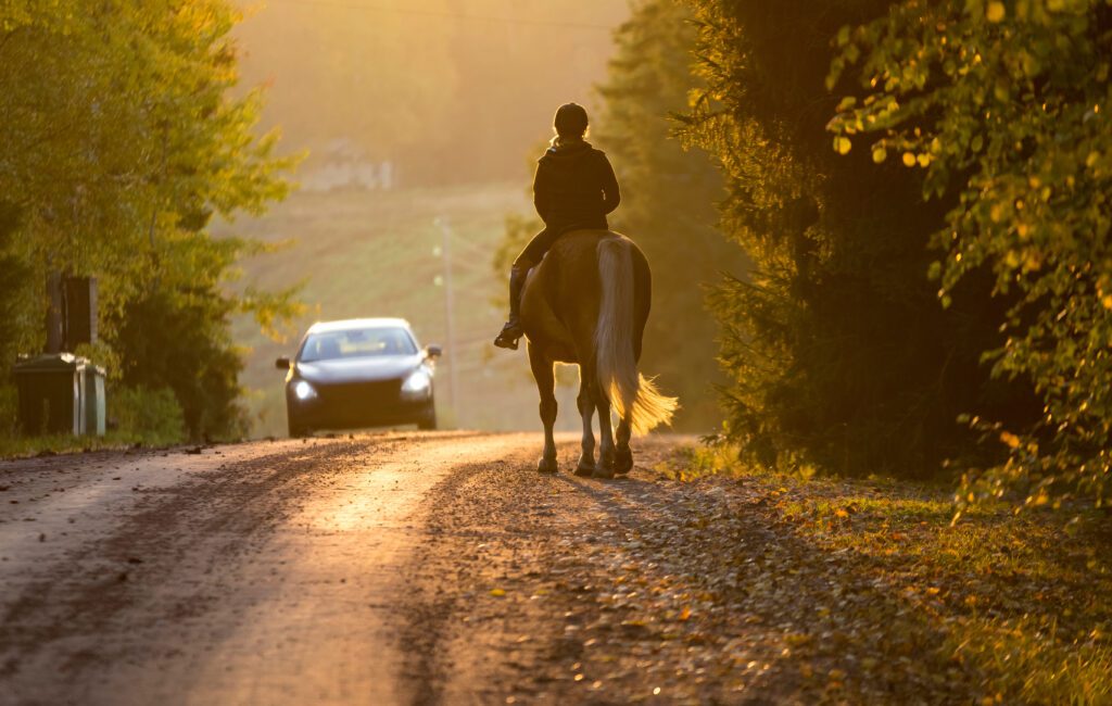 Horse and rider on the road