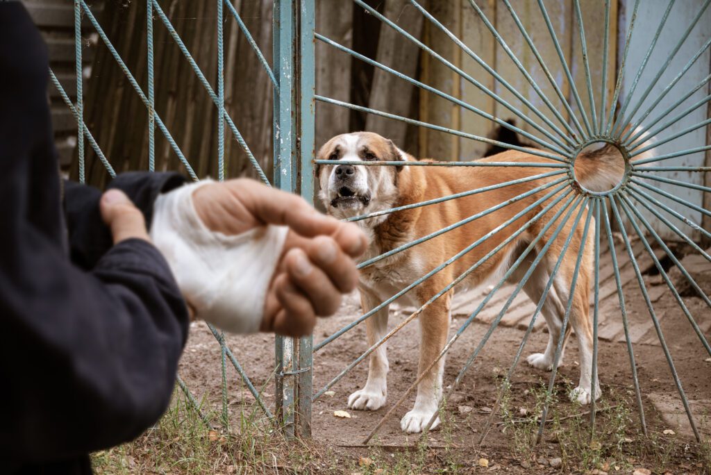 Bitten by a dog
